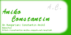 aniko constantin business card