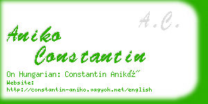 aniko constantin business card